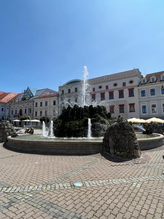 Apartman Viki Banska Bystrica Exterior photo
